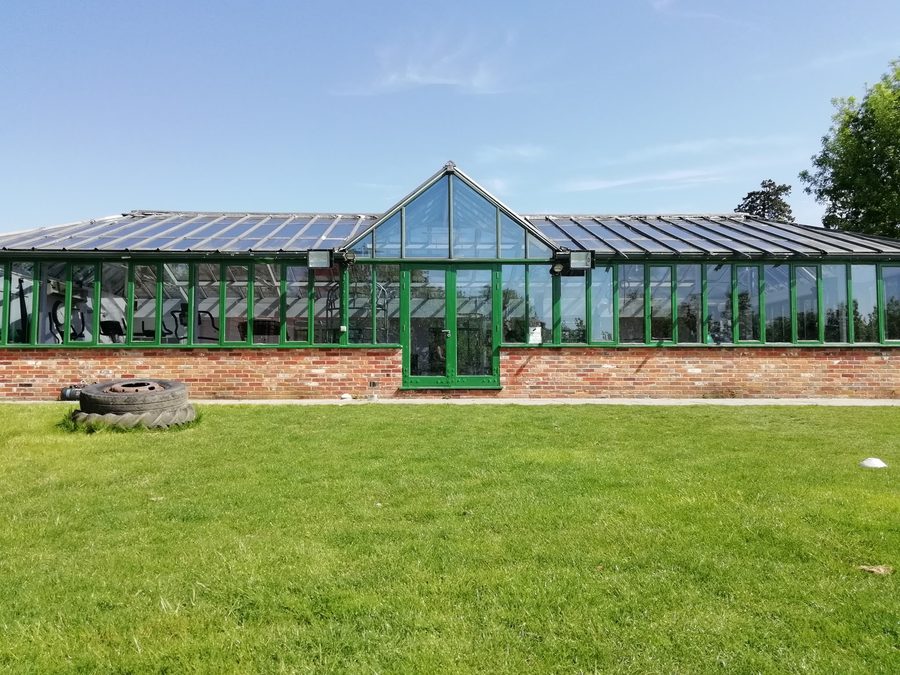 The Walled Garden Wellness Centre glasshouse from the lawn